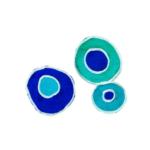 Circle (15)